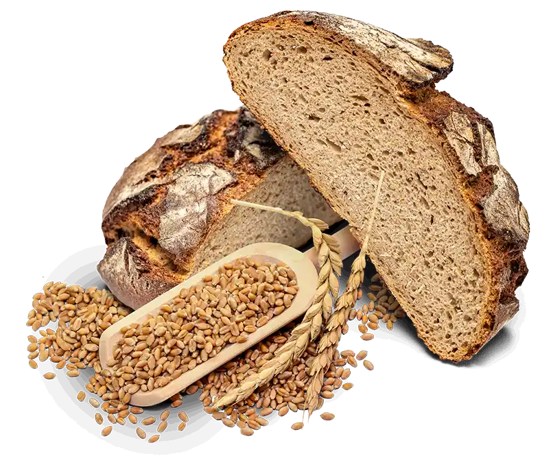 Casa-Baeckerei_Zinnowitz_Wirsing-Speck-Brot-03c