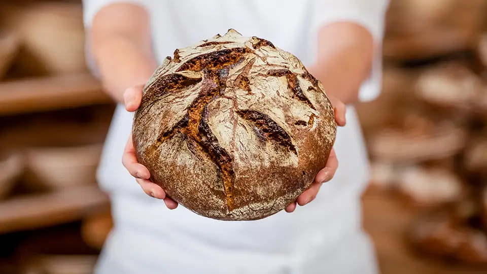 casa-baeckerei-zinnowitz_04