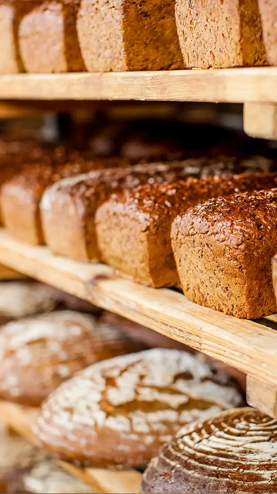 casa-baeckerei-zinnowitz_100