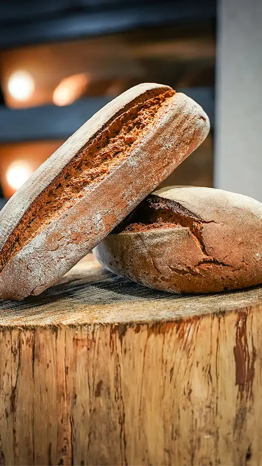 casa-baeckerei-zinnowitz_105