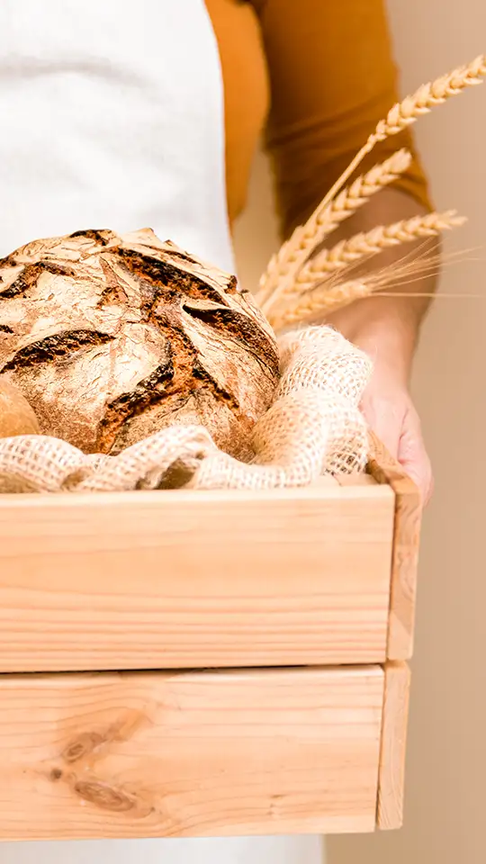 casa-baeckerei-zinnowitz_108