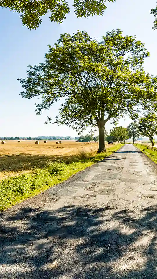 casa-baeckerei-zinnowitz_113