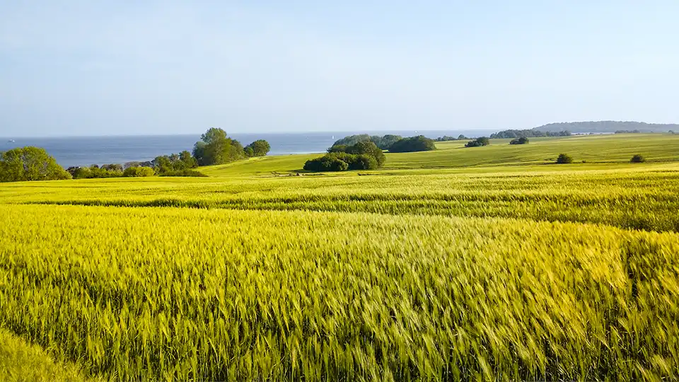 casa-baeckerei-zinnowitz_52